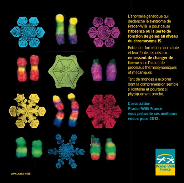 CarteVoeux_PWF_2012_C