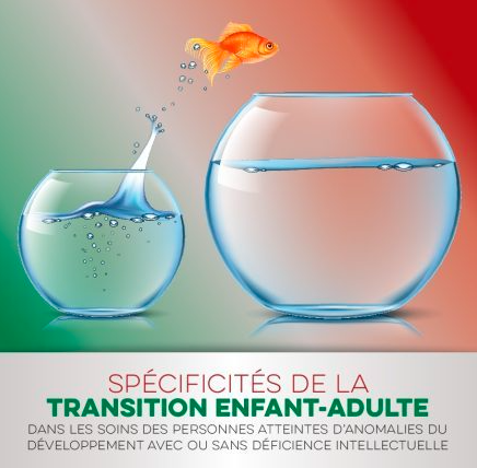 Recommandations pour faciliter la transition du parcours de soin ado-adulte