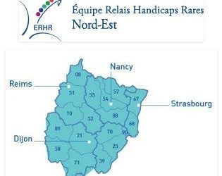 A Strasbourg, le 8 novembre 2018, l’ERHR Nord-Est organise une journée sur les comportements problèmes dans le cas d’handicap rare