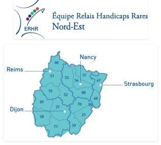 A Strasbourg, le 8 novembre 2018, l’ERHR Nord-Est organise une journée sur les comportements problèmes dans le cas d’handicap rare