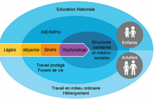 Résultat de l’enquête sur la déficience intellectuelle