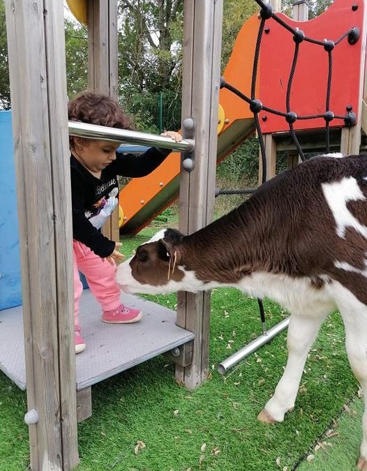 Initiative d’une adhérente dans le Var : création d’un parc animalier