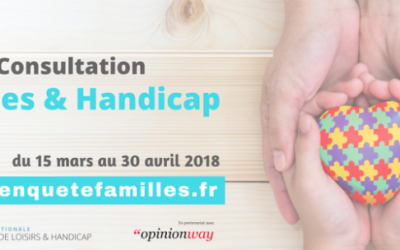 Rapport sur les attentes des familles ayant un enfant en situation de handicap