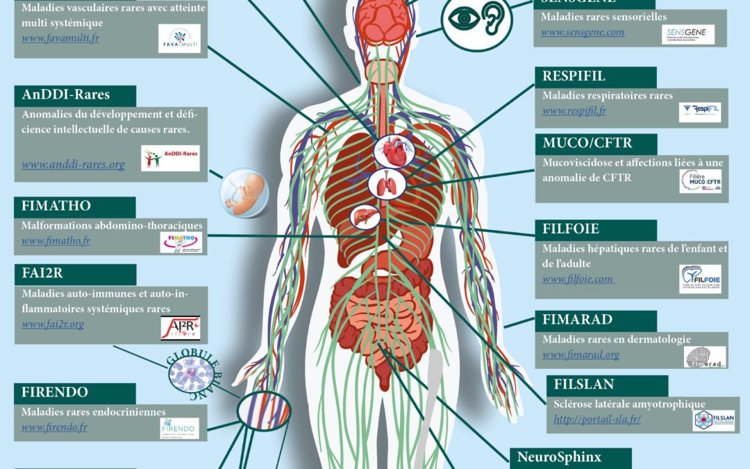 Bien comprendre le rôle des Filières Maladies Rares